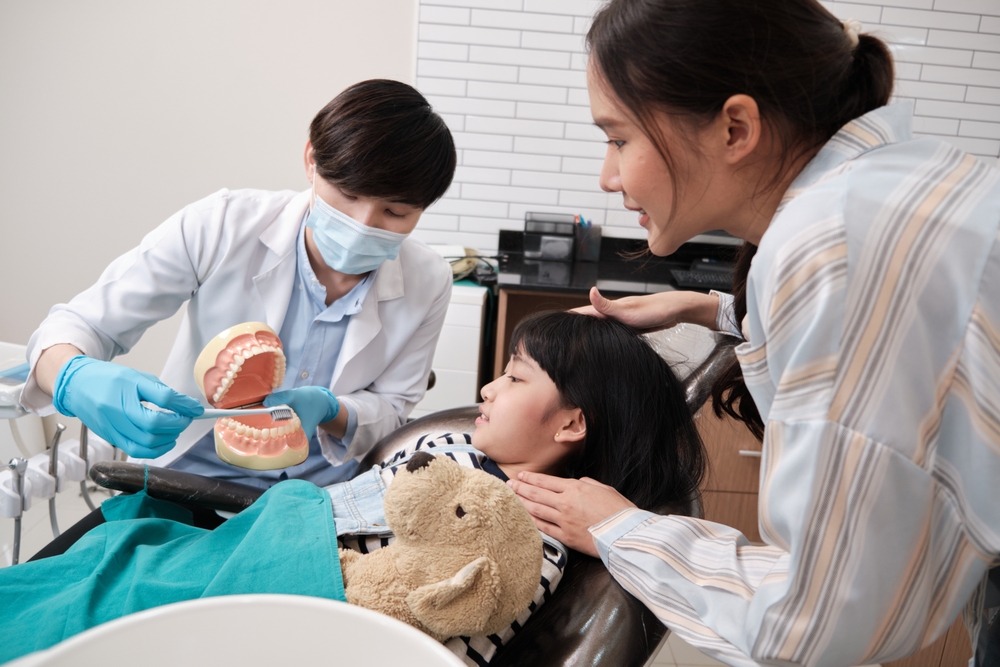 Asian,Male,Pediatric,Dentist,Demonstrates,Teeth,Brushing,To,Girl,With